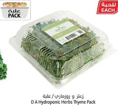 D A Hydroponic Herbs Thyme Pack