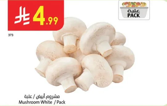 مشروم ابيض / علبه