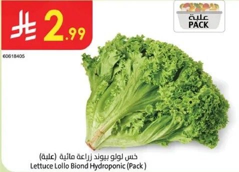 خس لولو بيوند زراعه ماييه (علبه)
