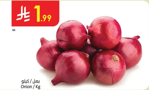 بصل