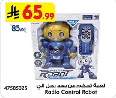 Radio Control Robot