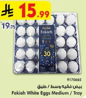 بيض فقيه وسط / طيق