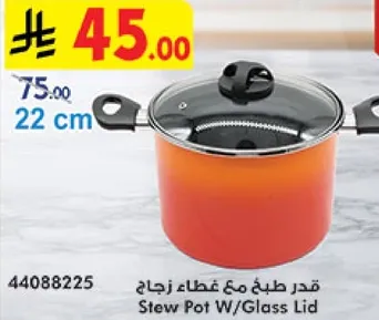 Stew Pot with Glass Lid