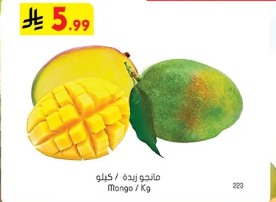 مانجو زبده / كيلو