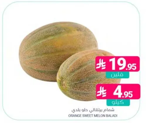 شمام برتقالي حلو بلدي