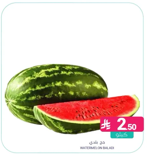بطيخ بلدي