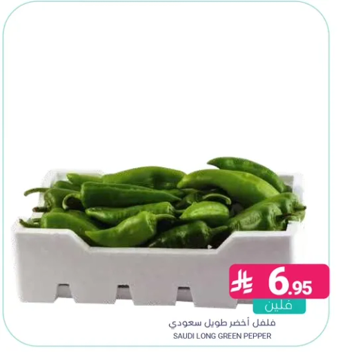 فلفل اخضر طويل سعودي