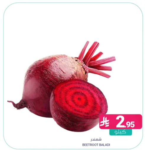 شمندر طازج وصحي.