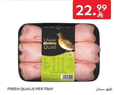 طير سمان