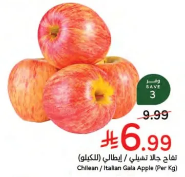 Chilean / Italian Gala Apple (Per Kg)