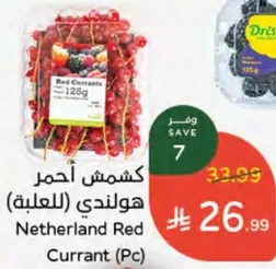 Netherland Red Currant (Pc)