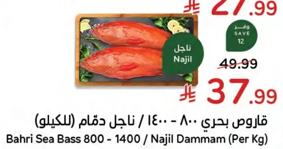 قاروص بحري 800 - 1400 / ناجل دقم (للكيلو)