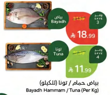 بياض حمام / تونا (للكيلو)