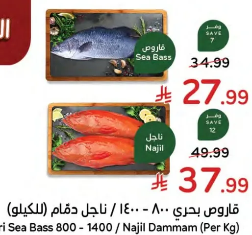 قوارص بحري - 800 - 1400 / ناجل دما (لكيلو)