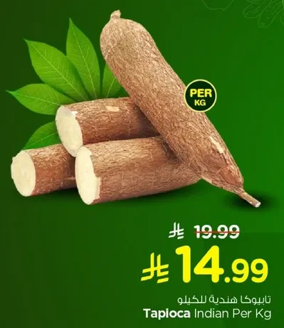 تابيوكا هنديه للكليو
