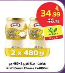 Kraft Cream Cheese 2x480g