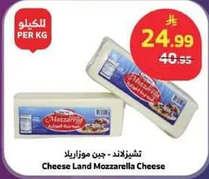 جبن موزاريلا - تشيز لاند