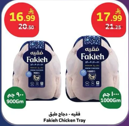 دجاج طازج فقيه