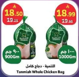 دجاج كامل - التنميه