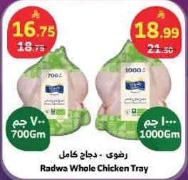 دجاج كامل - رضوي