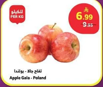 تفاح جالا - بولندا