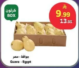 جوافه - مصر