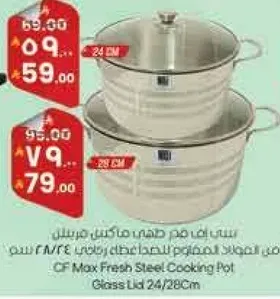 وعاء طهي من الفولاذ المقاوم للصدا مع غطاء زجاجي 24/28 سم