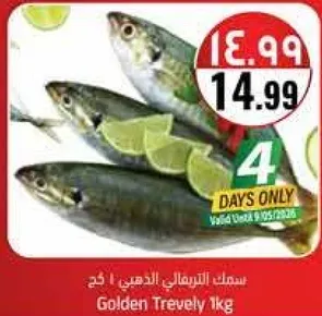 سمك التريفيلي الذهبي 1 كغ