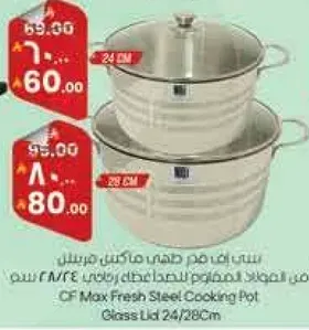 وعاء طهي من الفولاذ المقاوم للصدا مع غطاء زجاجي 24/20 سم.