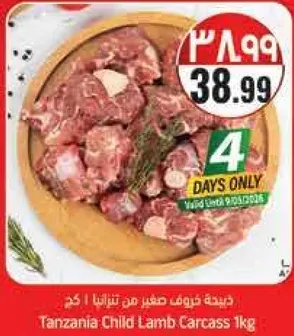 ديك رومي صغير من تنزانيا | كغ