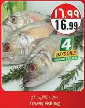 Travely Fish 1kg