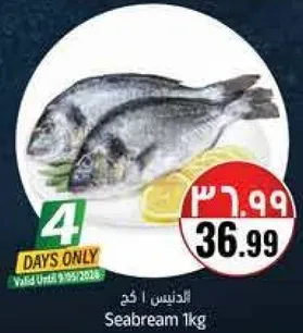 دنيس 1 كجم