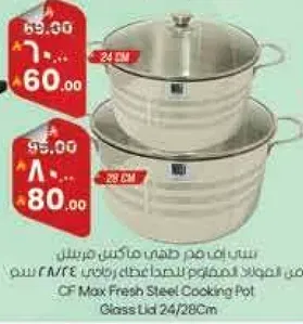 وعاء طهي من الفولاذ المقاوم للصدا مع غطاء زجاجي 24/28 سم