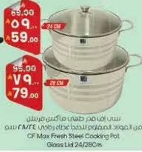 وعاء طهي من الفولاذ المقاوم للصدا مع غطاء زجاجي 24/28 سم