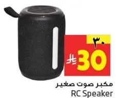 مكبر صوت صغير