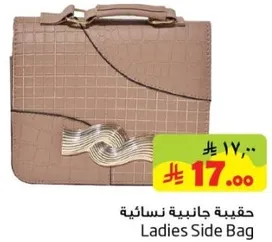 حقيبه جانبيه نساييه