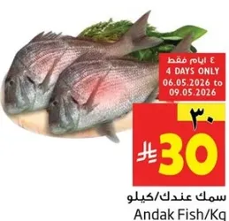 سمك عندك/كيلو