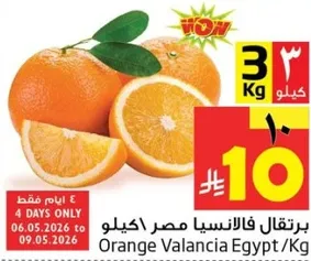 برتقال فالنسيا مصر