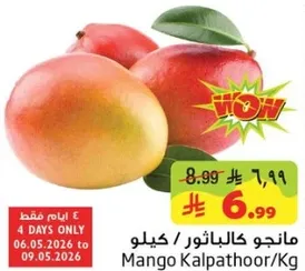 مانجو كالباثور