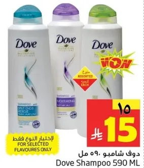 Dove Shampoo 590 ML