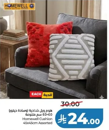 هوم ويل وساده 45×45 سم متنوعه