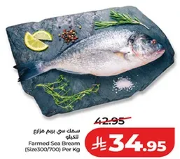 سمك سي بريم مزراع