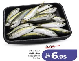 سمك ساردين صغير