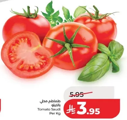 طماطم محلي