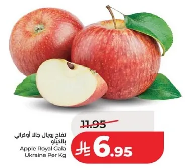 تفاح رويال جالا اوكراني بالكيلو