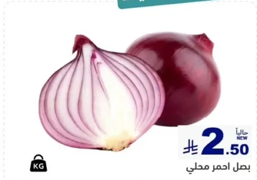 بصل احمر محلي
