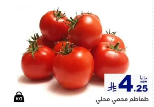 طماطم محلي طازج.