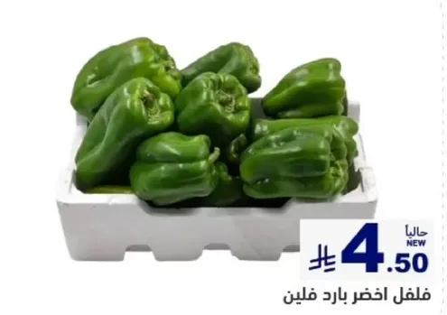 فلفل اخضر بارد فلين.