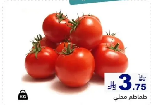 طماطم محلي