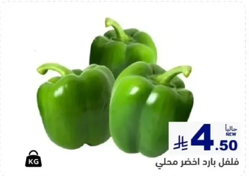 فلفل باراد اخضر محلي.